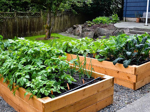 Garden Beds